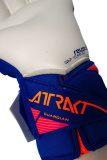 Reusch Attrakt Gold X Guardian 5670984 4126 blue 5